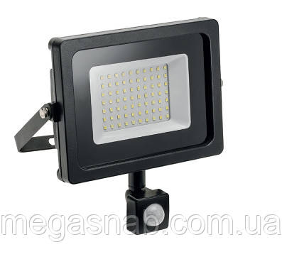 Прожектор з датч. рух. ECOSTRUM 10W 6500K 600Lm IP65 (гарантія 1рік)