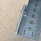 Заклепка сталь-сталь st / st 4.0x8 мм. з плоскою головкою Rivettop, фото 6