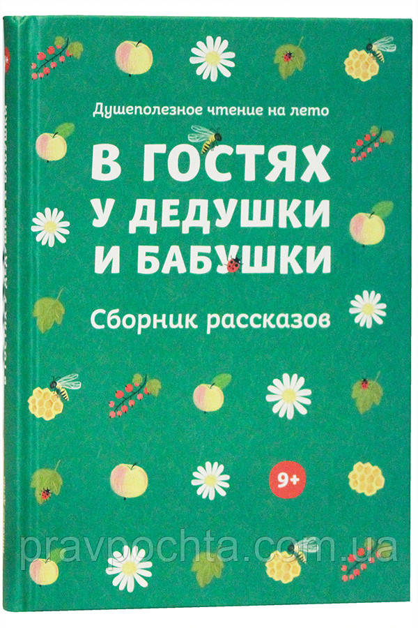 В гостях у дідуся і бабусі. Збірка оповідань. Тетяна Стрыгина