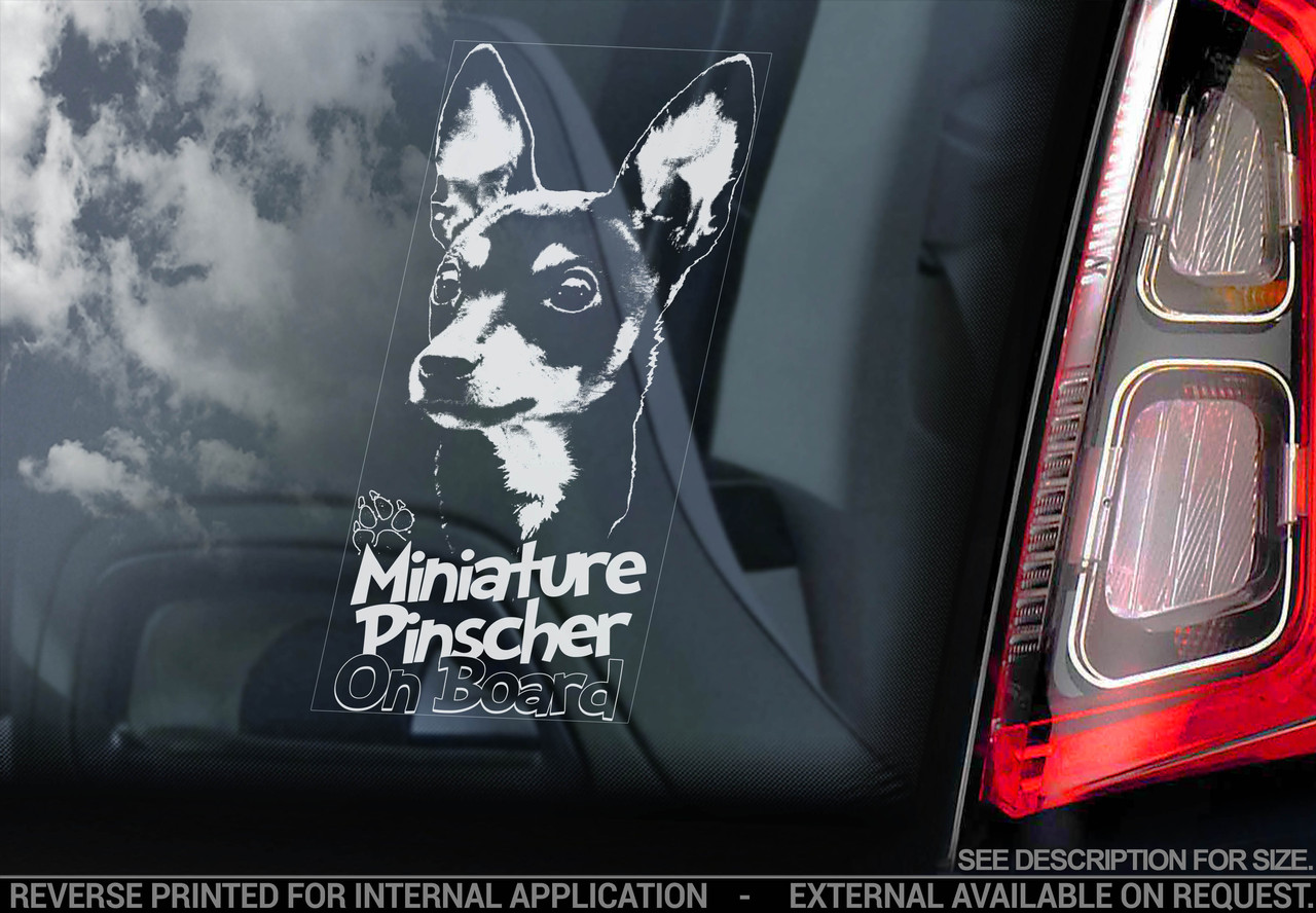 Карликовий пінчер-стикер, фото 1