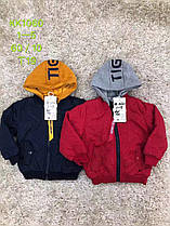 Куртки для хлопчиків утеплені оптом, розміри 1-5 років, S&D арт. КК-1060