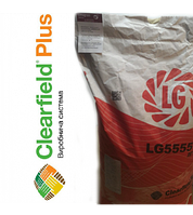 Семена подсолнечника ЛГ 5555 КЛП Круизер(Лимагрейн)