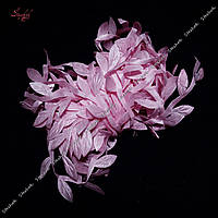 Атласна стрічка з листочками 20 мм для рукоділля колір рожевий