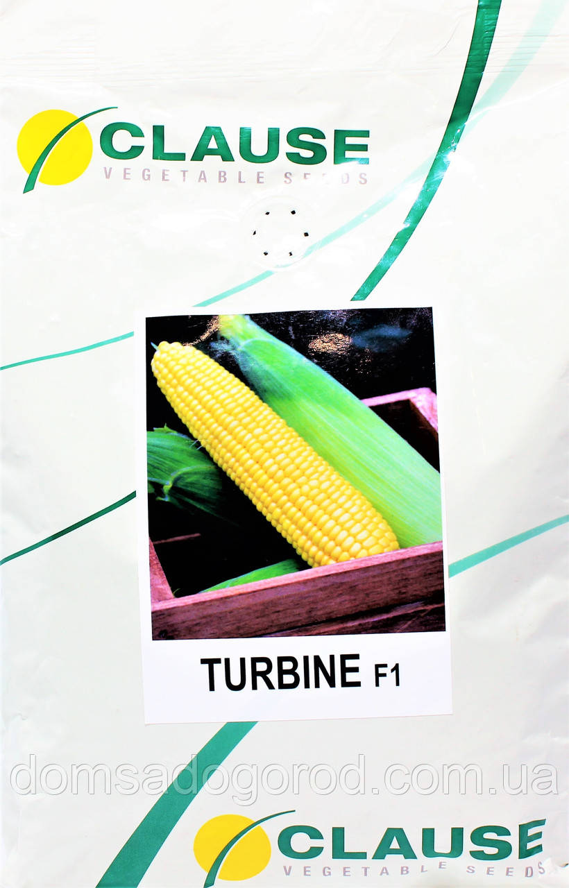 Кукурудза Турбін F1 | TurbinF1 Clause 50 000 шт.