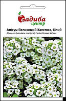 Семена Алиссум Пасхальная Шляпа белый 0,1 г, Pan American