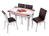Розкладний стіл обідній кухонний комплект стіл і стільці 3D малюнок 3д "Кавова лілія" ДСП скло 70*110 Mobilgen 1016/185, фото 4