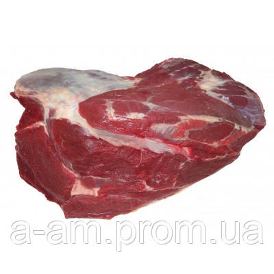 Лопатка (гов’ядька)