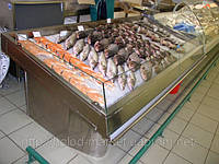 Витрина для демонстрации и продажи рыбы Mondel (Италия)