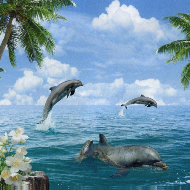 Фотообои, море, дельфины, Морские забавы, 16 листов, размер 194х268 см - фото 2 - id-p258144767