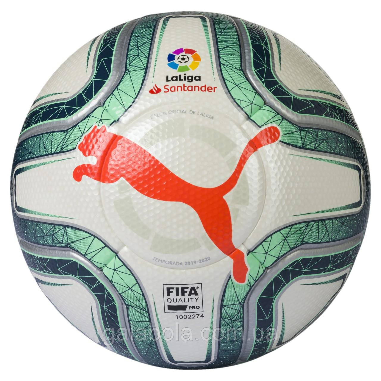 Puma oficial clearance