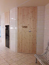 Електрокаменка для сауни та лазні EcoFlame SAM D-25 25 кВт + пульт CON6, фото 3