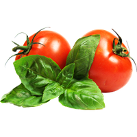 Низькослі гібриди томатів