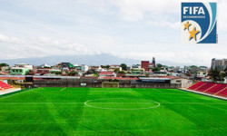 Штучна трава для футбольних полів 40 мм Taishan