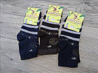 Шкарпетки дитячі - підліткові демісезонні Житомир Тонік 14-16р. асорті НДД-080530, фото 2