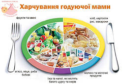 Харчування годуючої мами.