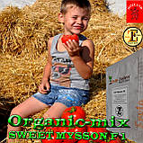 Насіння, томат СВІТ МУСОН F1 / SWEET MYSSON F1 (великий високоурожайний) ТМ Erste Zaden, 1000 насіння, фото 3