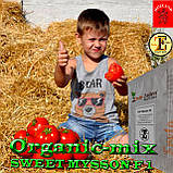 Насіння, томат СВІТ МУСОН F1 / SWEET MYSSON F1 (великий високоурожайний) ТМ Erste Zaden, 1000 насіння, фото 4