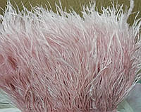 Перова тасьма страусинна. Колір пудровий. Перо 9-15 см.Цина за 0,5 м.