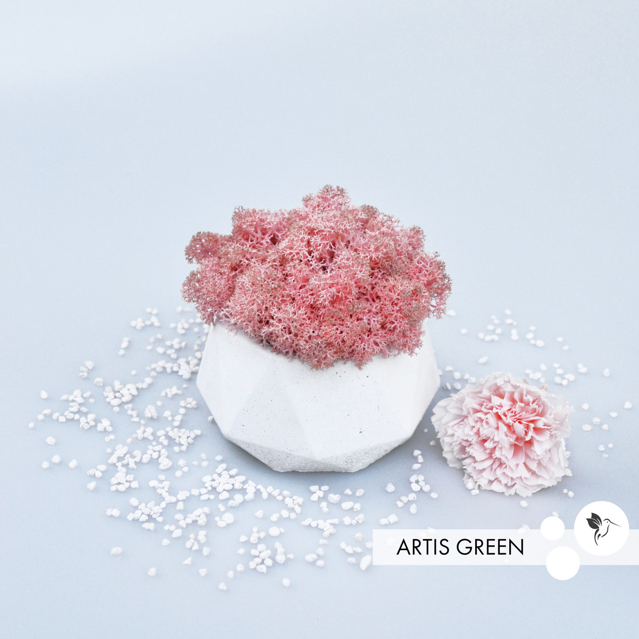 Кашпо зі справжнім скандинавським мохом Fresh Coral, фото 1