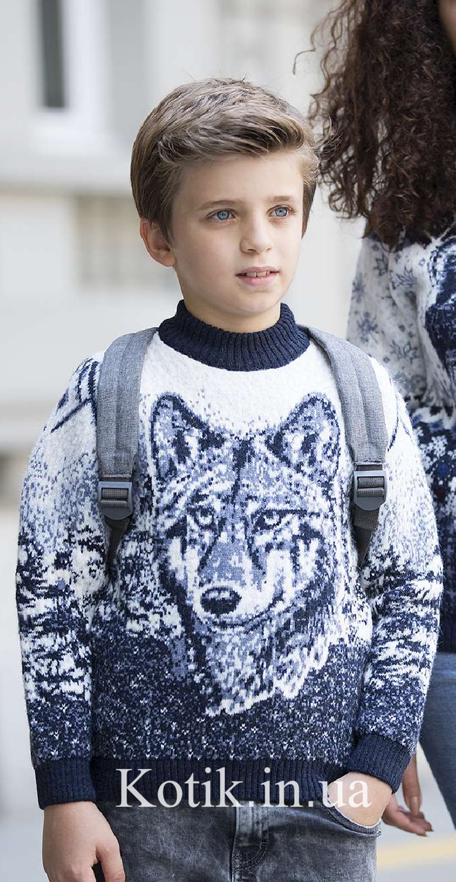Светр дитячий Pulltonic Wolf