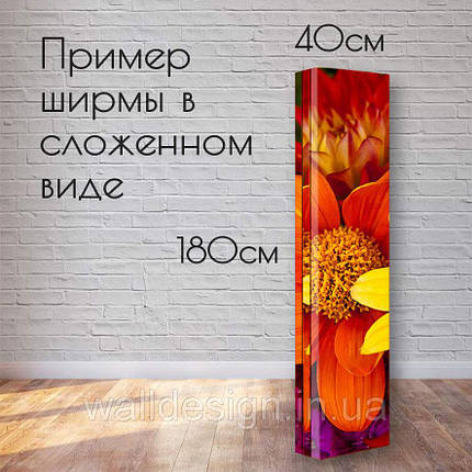 Ширма "Молоді дівчата", фото 3