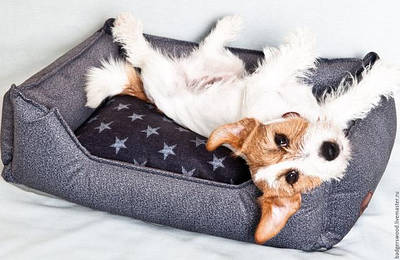 Лежаки з бортиками для собак