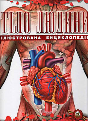 Тіло людини, фото 2