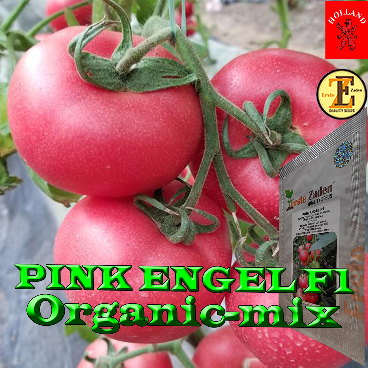 Насіння, високорослий, ранній, томат Рожевий Ангел f1 / Pink engel f1, 250 насіння, ТМ Erste Zaden