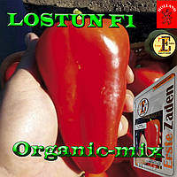 ЛОСТУН F1 (LOSTUN F1), насіння раннього солодкого перцю, 250 насіння, ТМ Libra seeds