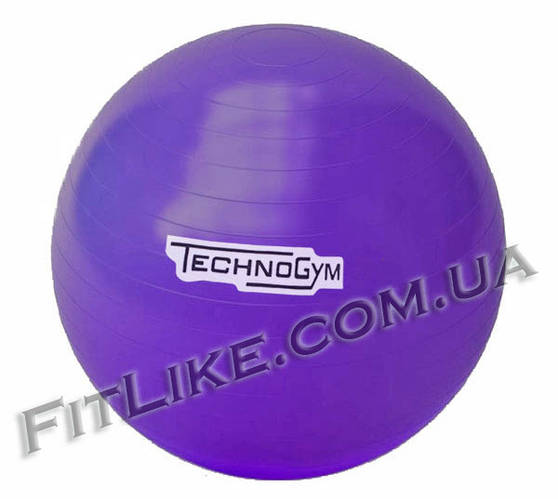 Фитбол 65 см TechnoGym мяч для фитнеса 75, фиолетовый (ID#1037856496 ...