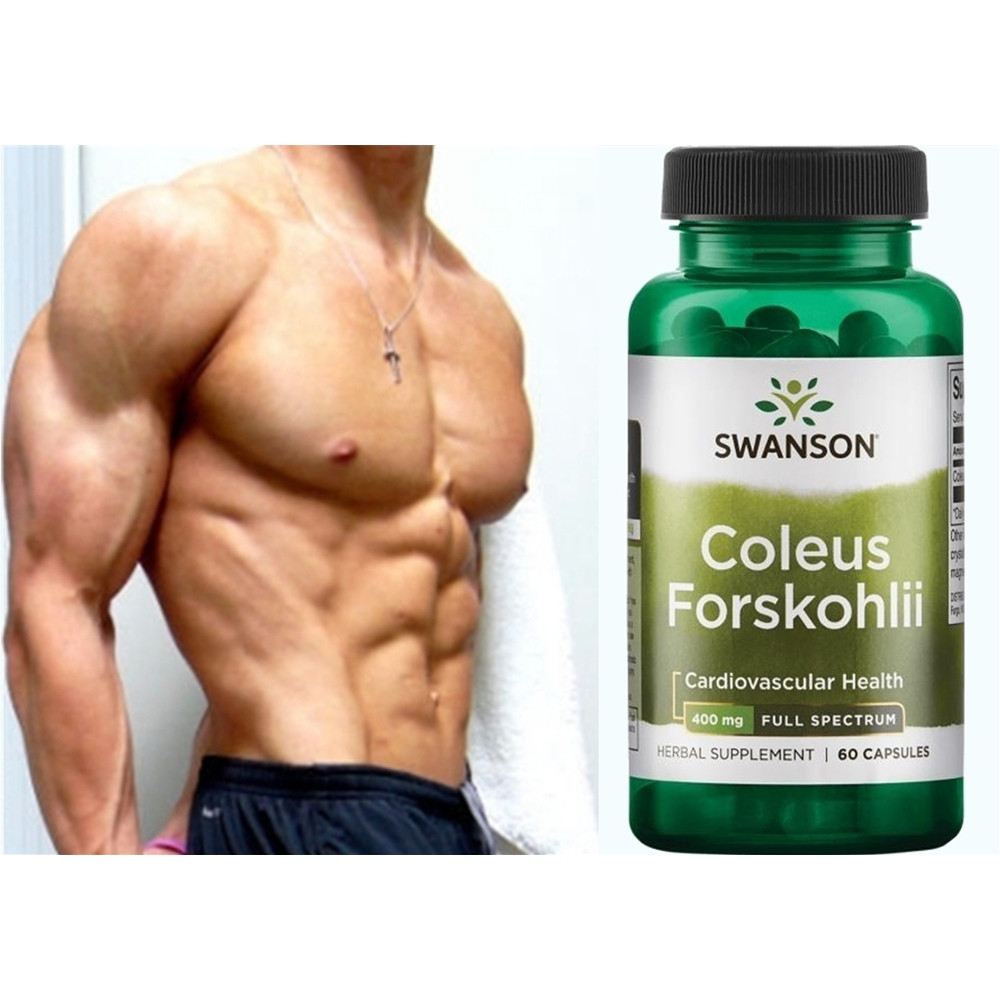 Форсколін для підвищення тестостерону рослинний анаболік Swanson Coleus Forskohlii, фото 1
