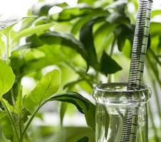 Регулятори росту рослин, інокулянти, бактерії