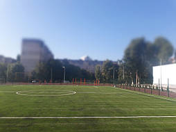 Укладка синтетической травы на школьном стадионе, г. Одесса 15