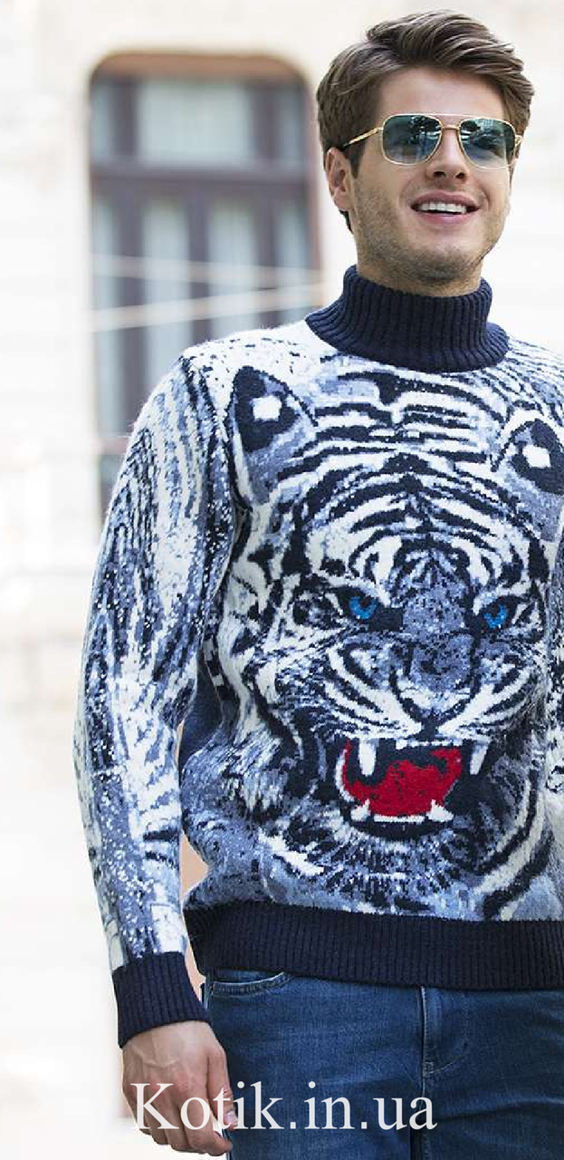 Светр чоловічий Pulltonic Tiger
