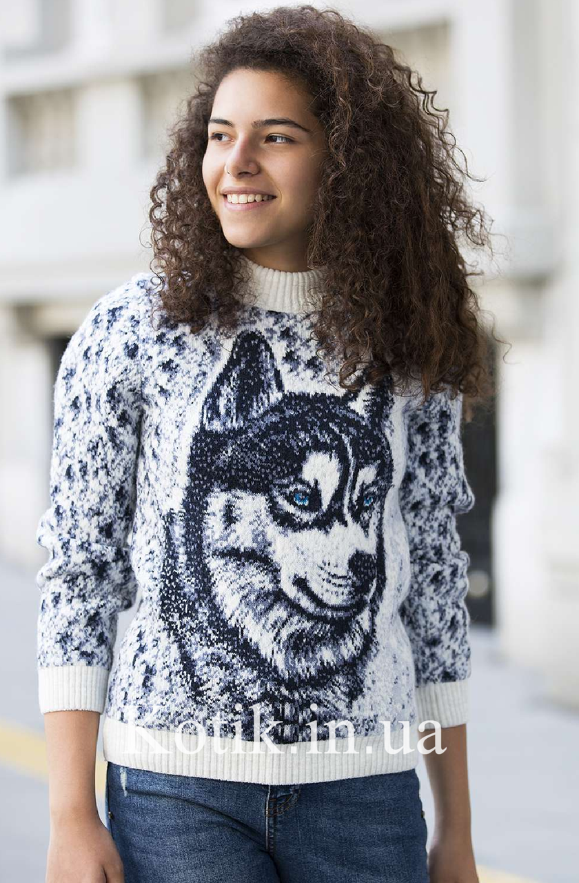 Светр дитячий Pulltonic Хаскі, фото 1