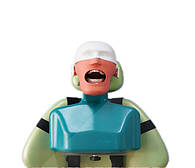 Навчальні фантоми для стоматологів