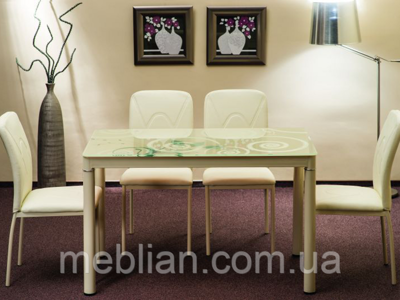 Стіл Damar 100X60
