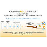 Морський колаген+гіалуронова кислота +вітамін С, порошок, California Gold Nutrition, 205г, США, фото 7
