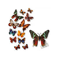 (12 шт) Набір метеликів 3D на магніті КОРИЧНЕВІ кольорові