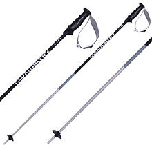 Палиці Volkl Phantastick 3 115 19/2020 black 169815