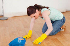 Засоби для миття підлоги