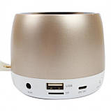 Портативна акустична Bluetooth колонка Hopestar H17 Gold, фото 2