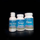 Парагон Комплекс/Paragon Complex Віталайн/VitaLine Натур. антипаразитарний антигельмінтний препарат 60таб, фото 3