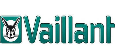 Запчастини для котлів Vaillant