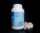 Лівер забудь (Гепатопротектор)/Liver Right ВітаЛайн/VitaLine Комплекс для печінки 100 таблеток, фото 2