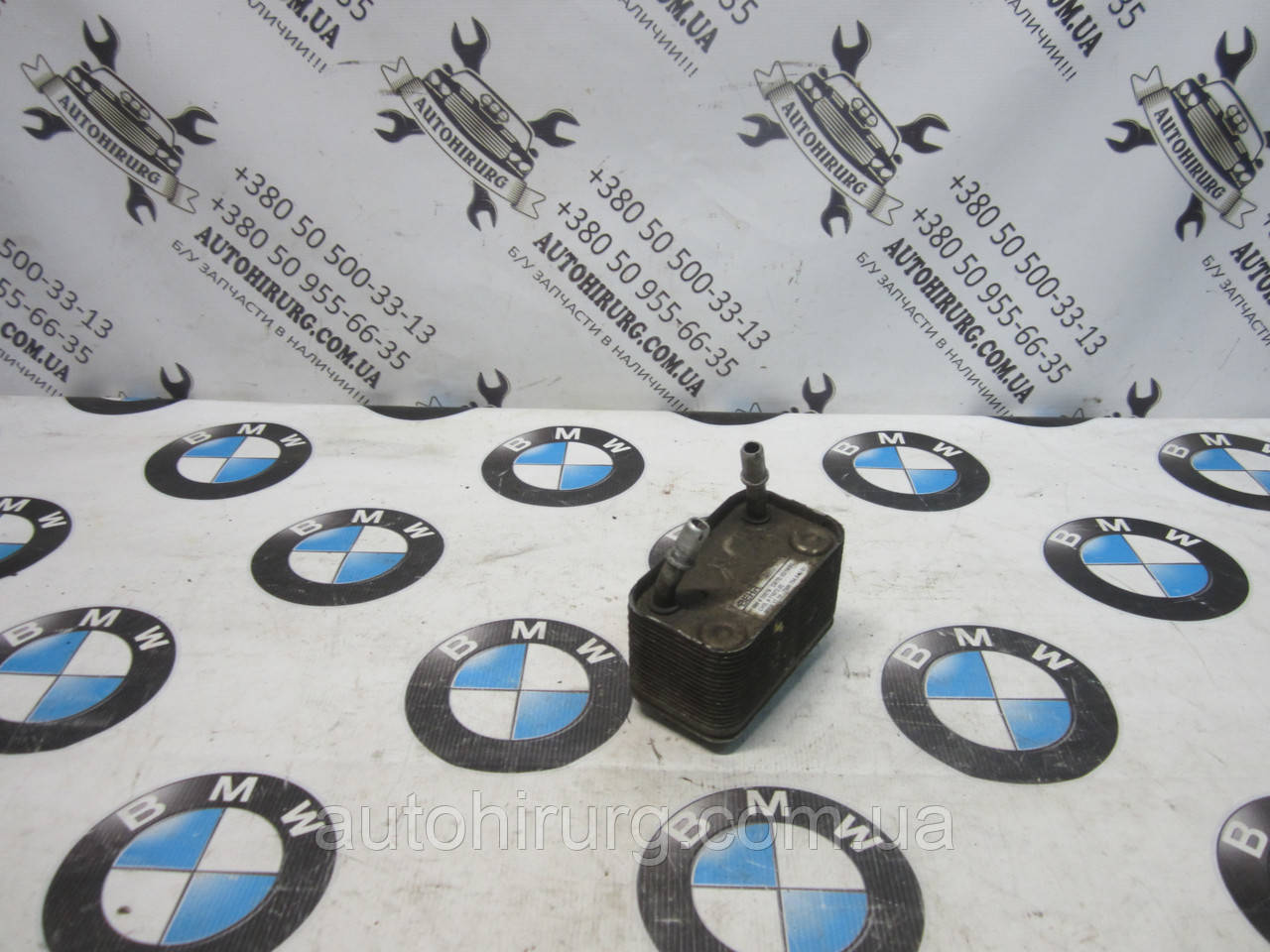 Радіатор оливи BMW e53 X-series (7500754)