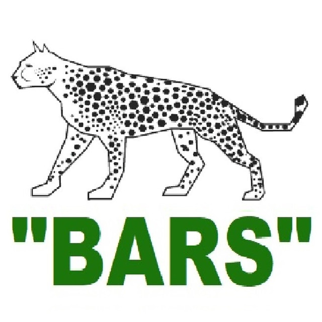 bars-shapki.com.ua