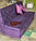 Дивани з ґудзиками в спинці "Ренесанс" 1200х600х900 мм фіолетовий велюр, фото 7