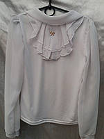 Блуза зябро довгий рукав для дівчинки 8-10 років