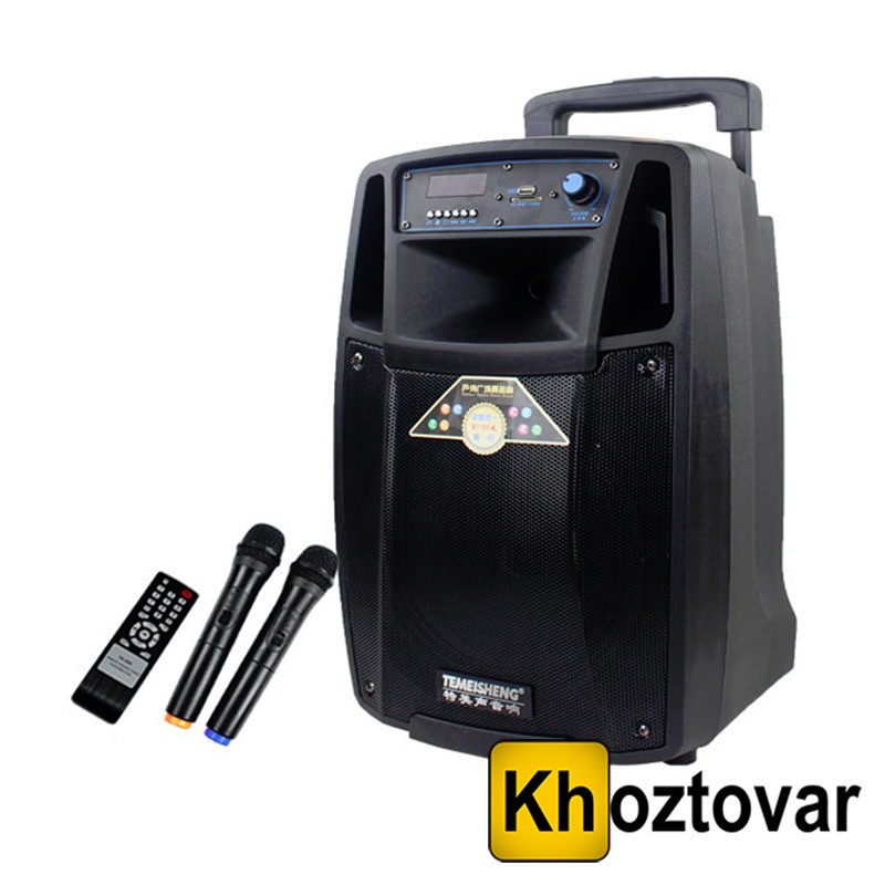 Портативна акустична система з АКБ Temeisheng SL10-01 BT, фото 1